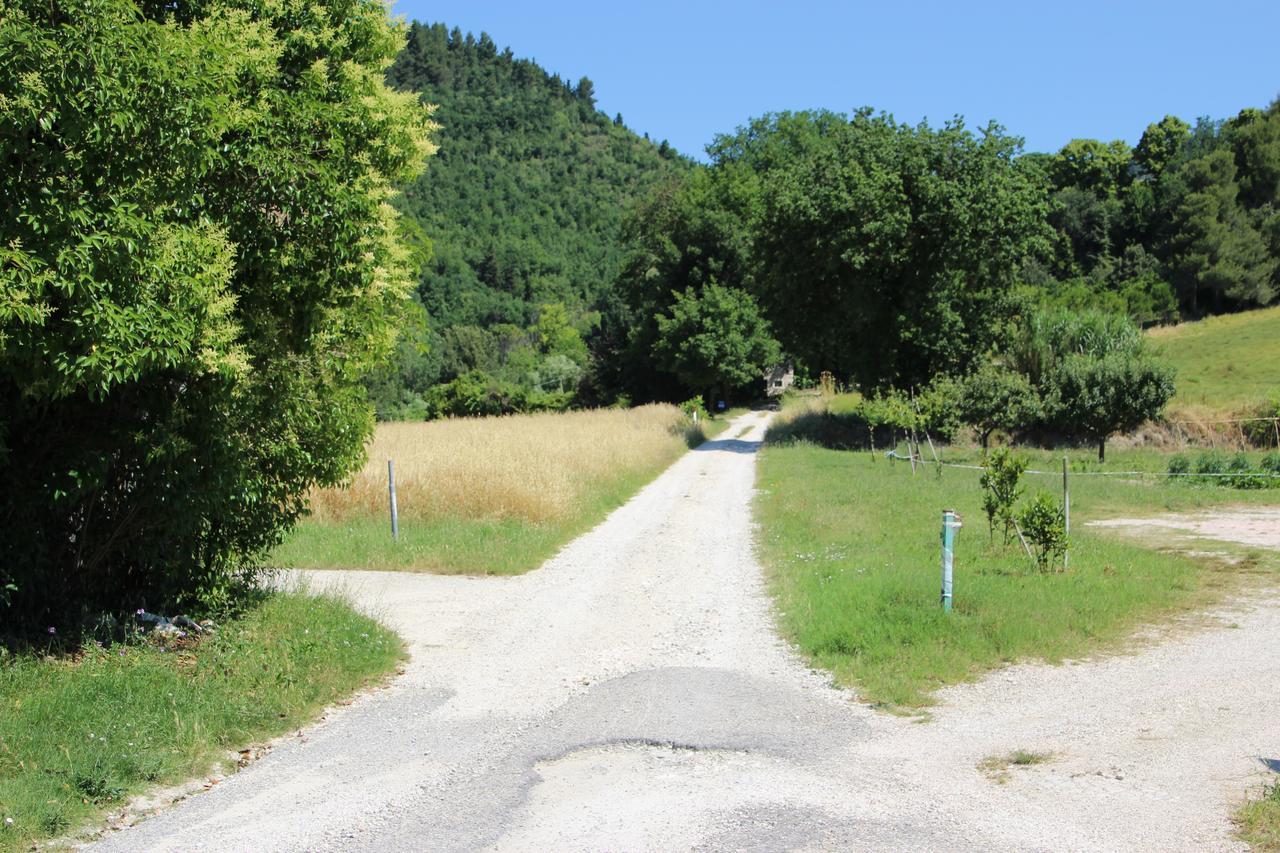 Calbertone Family And Bike Holidays Urbino Esterno foto